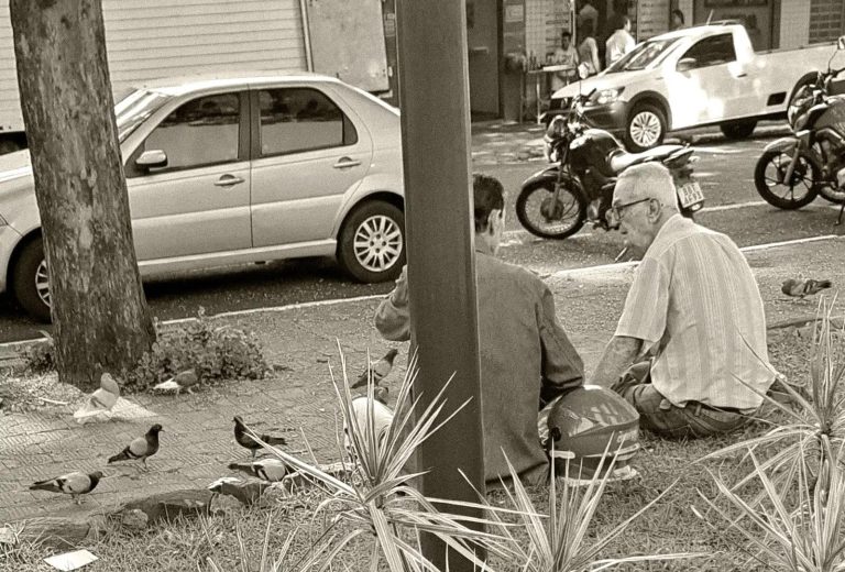 Jaime dando milho aos pombos